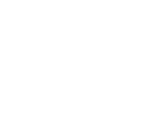 Die Idee zu diesem Medium wurde, anlässlich eines vierzigsten Geburtstags, im Sommer 2000 geboren. Am Beginn stand eine Gesinnungsgemeinschaft aus einigen Enddreißigern und frischgebackenen Vierzigern, die sich zum Club der alten Säcke formiert hatte. Ein Club, der nicht am Papier, aber in den Köpfen seiner Mitglieder bestand und bis heute als reine Gesinnungsgenossenschaft verstanden werden darf.  Ein Mensch mit vier Dezennien am Buckel wird in der heutigen Arbeitswelt bereits zum alten Eisen gezählt, obgleich er jede Menge Lebenserfahrung und Routine gesammelt hat.  Noch immer mitten im Leben stehend, ist er scheinbar zum Mitglied einer Randgruppe geworden. Aber nur scheinbar! Einer der Grundgedanken des Clubs war, speziell den jüngeren Mitmenschen den Eindruck zu vermitteln, dass Leute unseres Alters weder physisch, noch psychisch am Abstellgleis stehen. Geistige Flexibilität bedeutet unter anderem auch, sich über die ernsten und banalen Dinge des Alltags, die diese Altersklasse betreffen, aber hoffentlich nicht betroffen machen, lustig machen zu können.  Jeder gutsituierte Club, sei er auch nur imaginär, ist bestrebt, ein Sprachrohr -  sprich eine Clubzeitung sein Eigen nennen zu können. Das war die Geburtsstunde des "Alten Sackblatts". Nachdem es anfangs nur für seine Clubmitglieder gedacht war, gewann das Medium an Eigendynamik und fand nach und nach auch Leser außerhalb dieser Gesinnungsgemeinschaft.